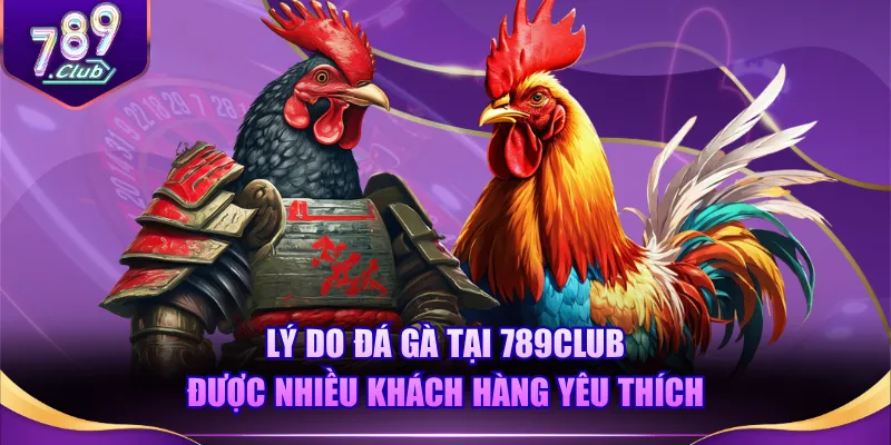 Lý do đá gà tại 789CLUB được nhiều khách hàng yêu thích
