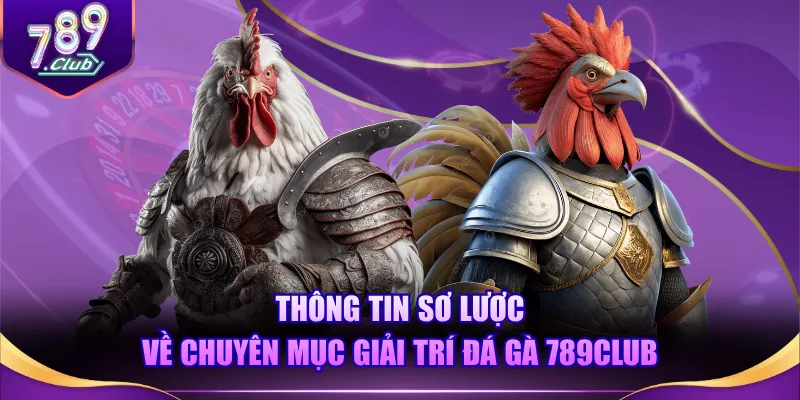 Thông tin sơ lược về chuyên mục giải trí đá gà 789CLUB